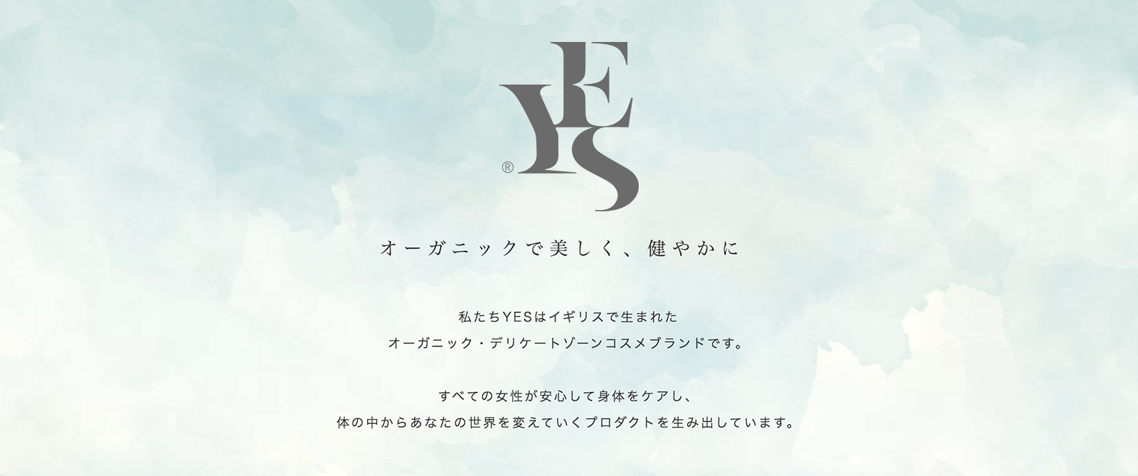 【YES】インティメイト・モイスチャージェル VM アプリケーター